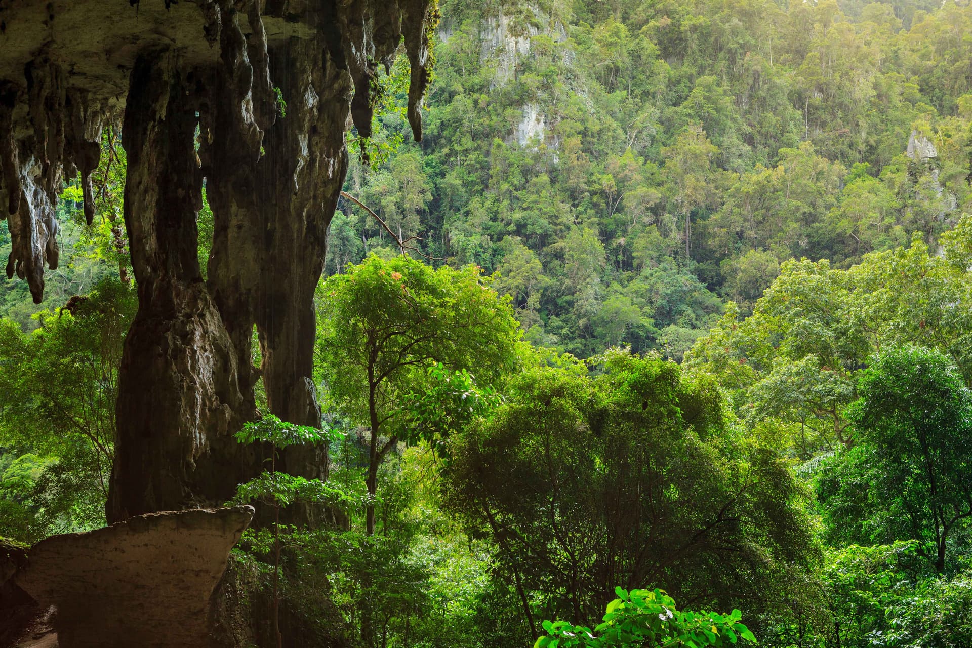 BORNEO ADVENTURE SCHOOL TOUR